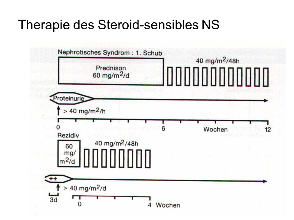 Therapie des Steroid-sensibles NS