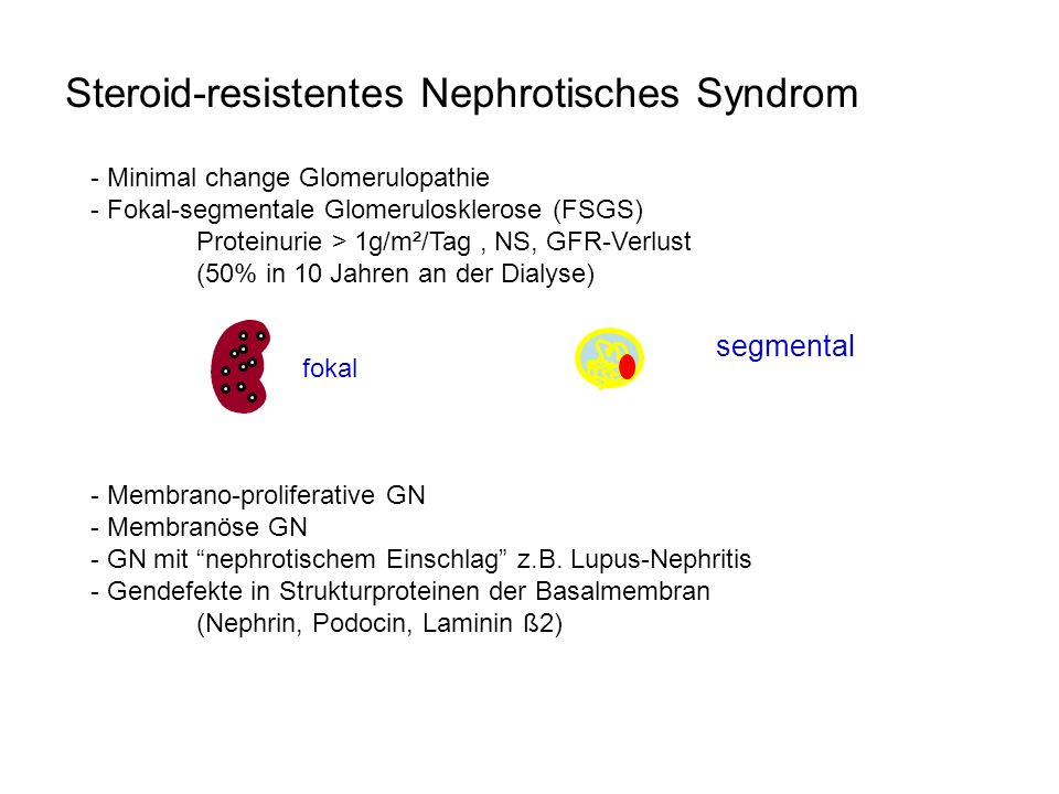 Steroid-resistentes Nephrotisches Syndrom