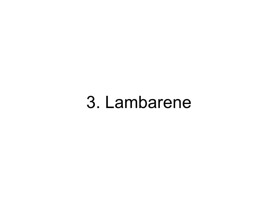 3. Lambarene