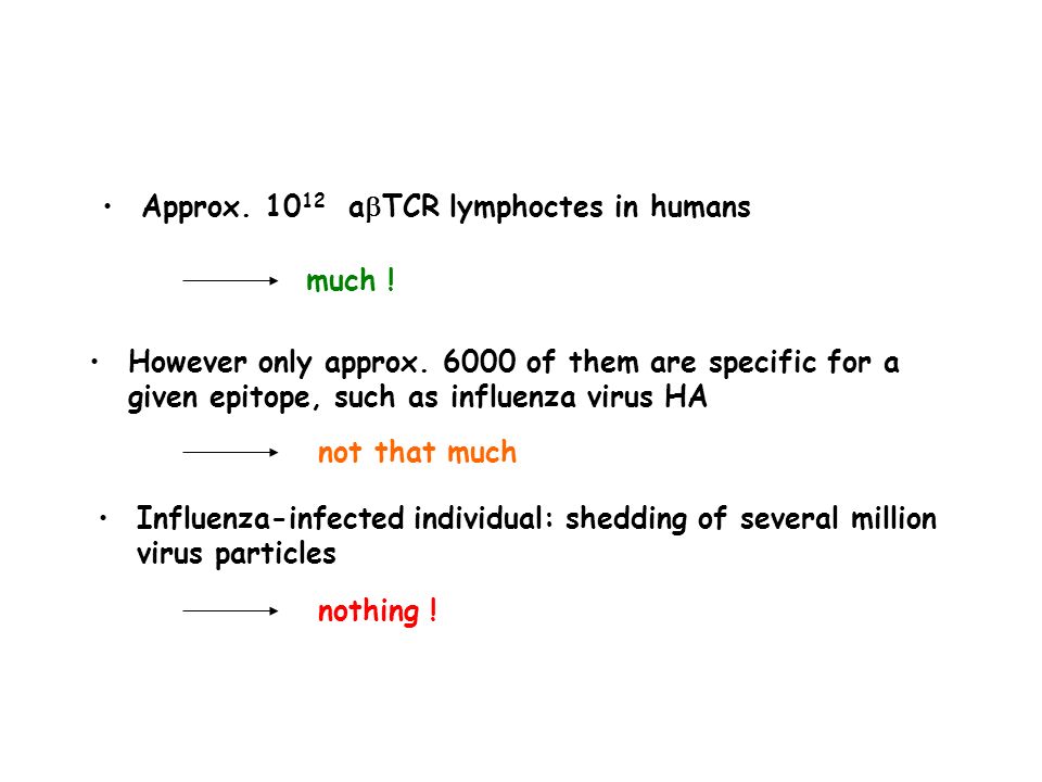 Approx abTCR lymphoctes in humans