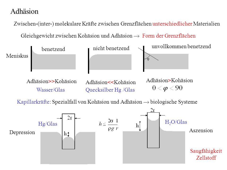 Adhäsion Zwischen-(inter-) molekulare Kräfte zwischen Grenzflächen unterschiedlicher Materialien.
