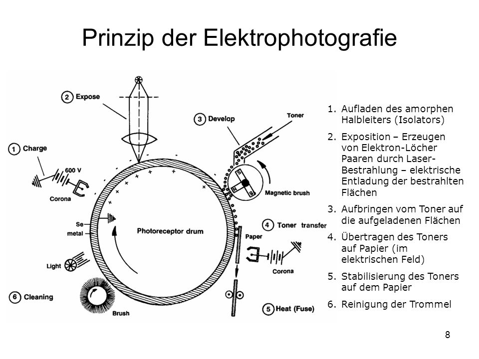 Prinzip der Elektrophotografie
