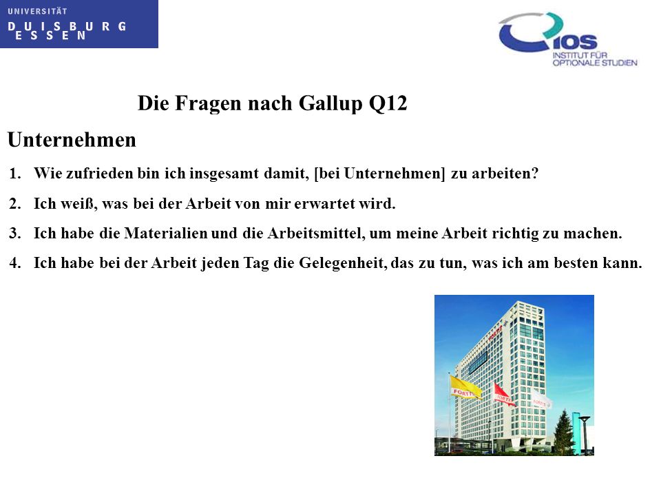 Die Fragen nach Gallup Q12