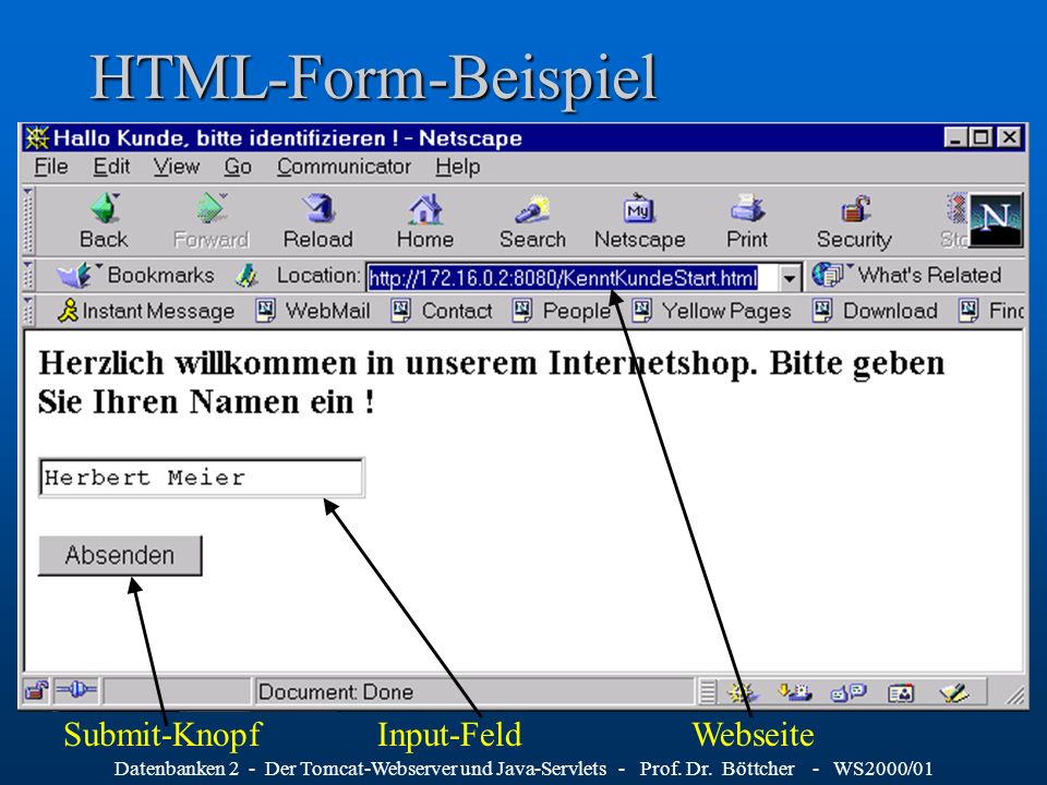 HTML-Form-Beispiel Submit-Knopf Input-Feld Webseite