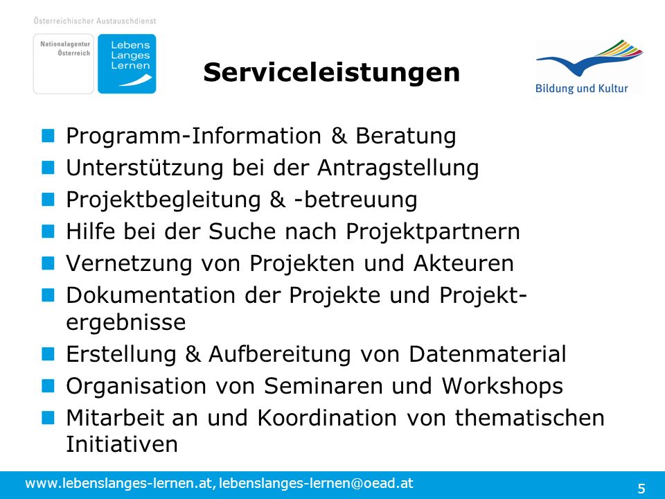 Serviceleistungen Programm-Information & Beratung