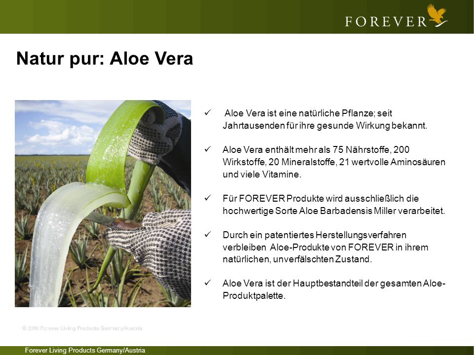 Natur pur: Aloe Vera Aloe Vera ist eine natürliche Pflanze; seit Jahrtausenden für ihre gesunde Wirkung bekannt.