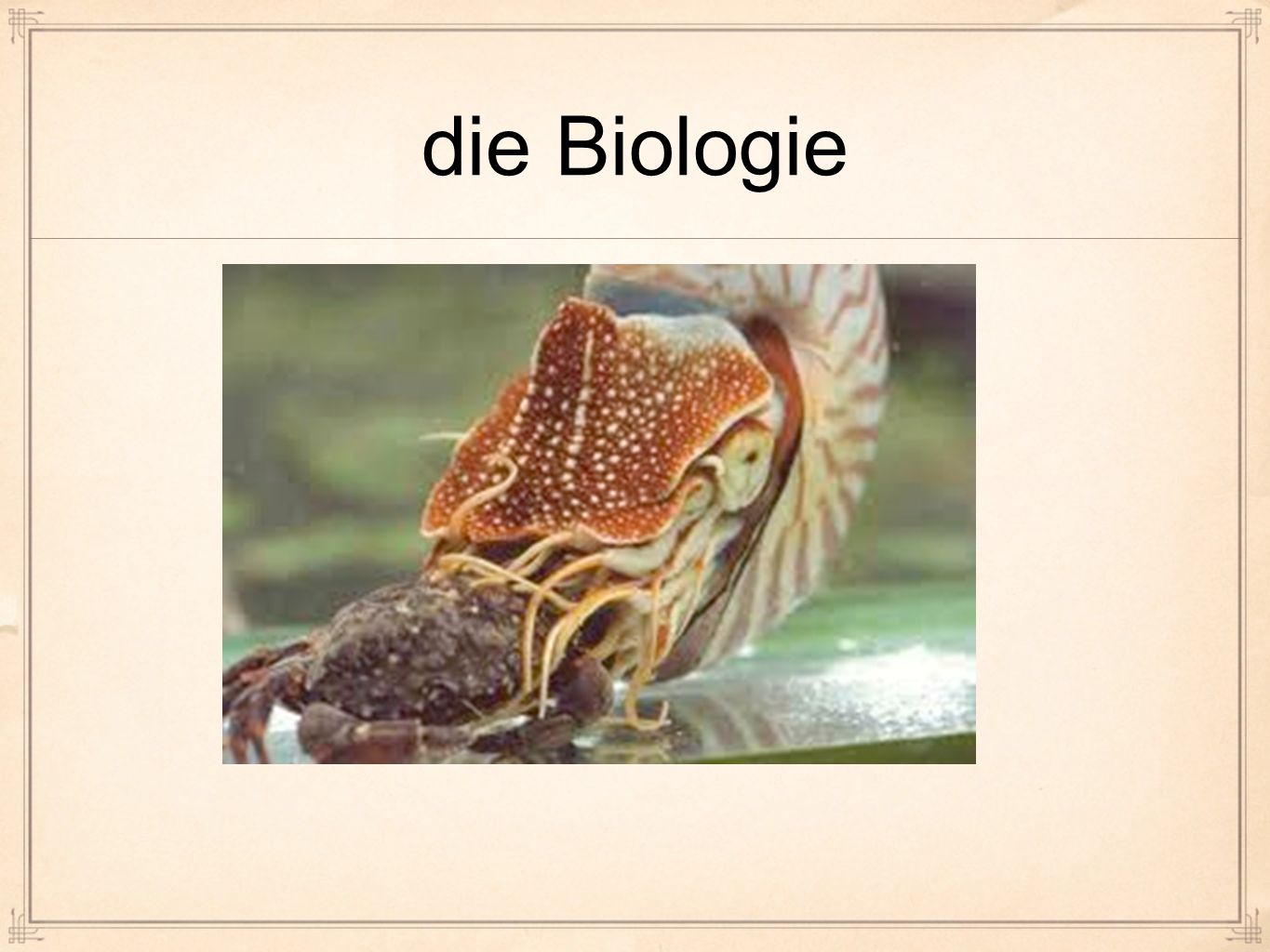die Biologie