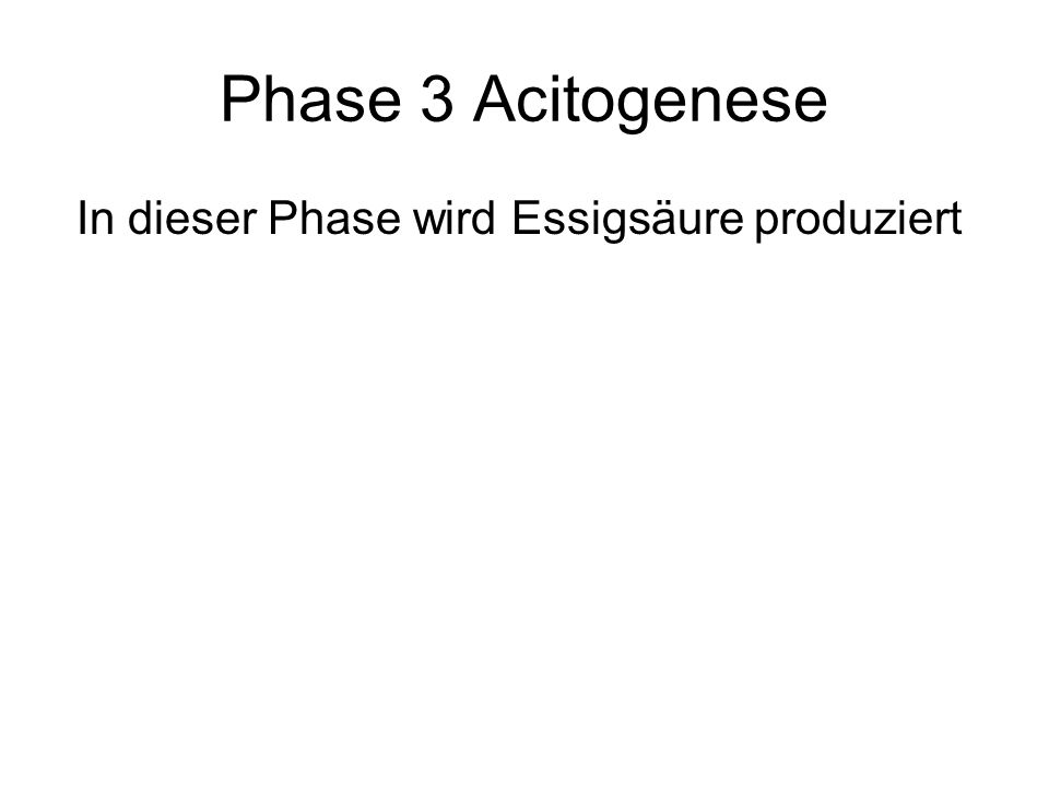 Phase 3 Acitogenese In dieser Phase wird Essigsäure produziert