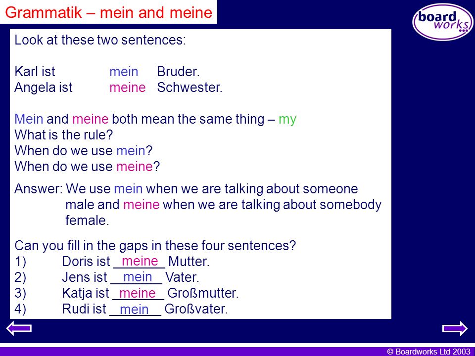 Grammatik – mein and meine