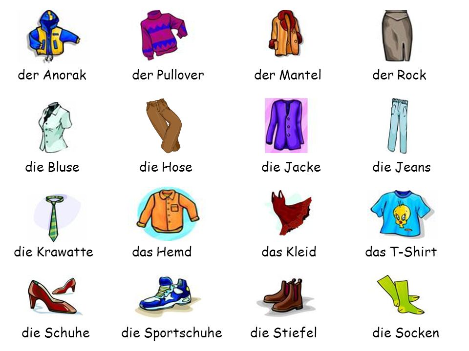 der Anorak der Pullover. der Mantel. der Rock. die Bluse. die Hose. die Jacke. die Jeans. die Krawatte.
