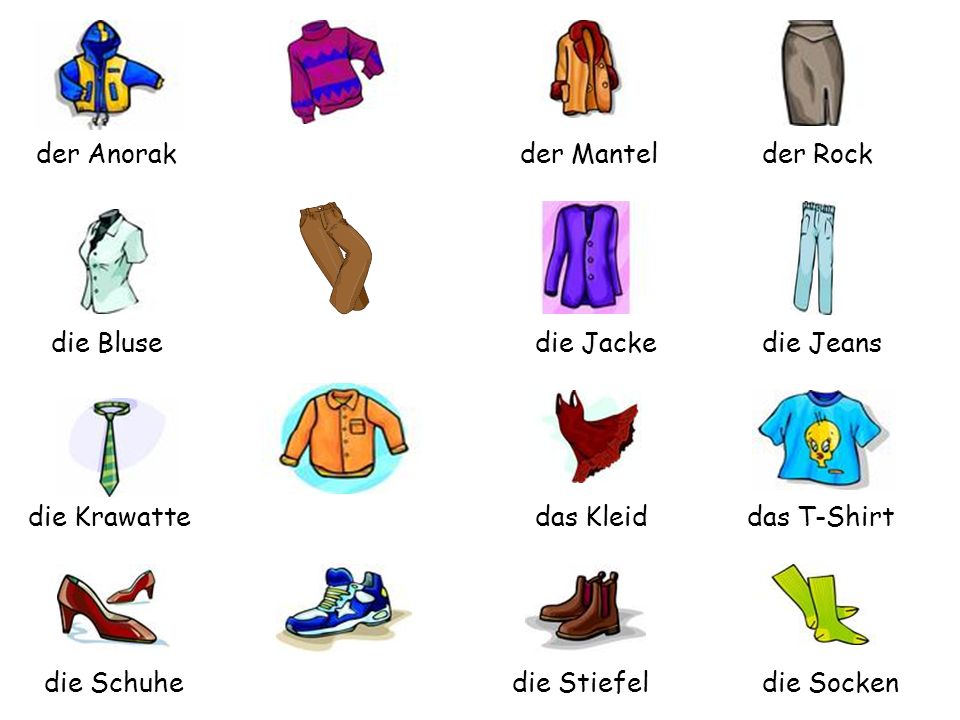 der Anorak der Mantel. der Rock. die Bluse. die Jacke. die Jeans. die Krawatte. das Kleid. das T-Shirt.