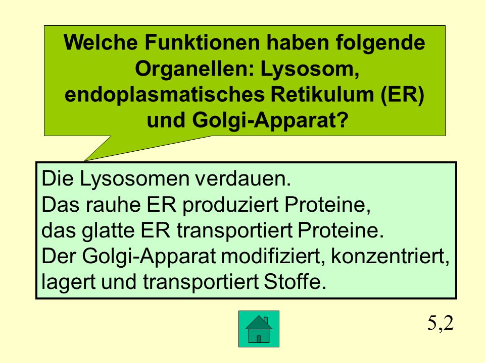 Welche Funktionen haben folgende Organellen: Lysosom,