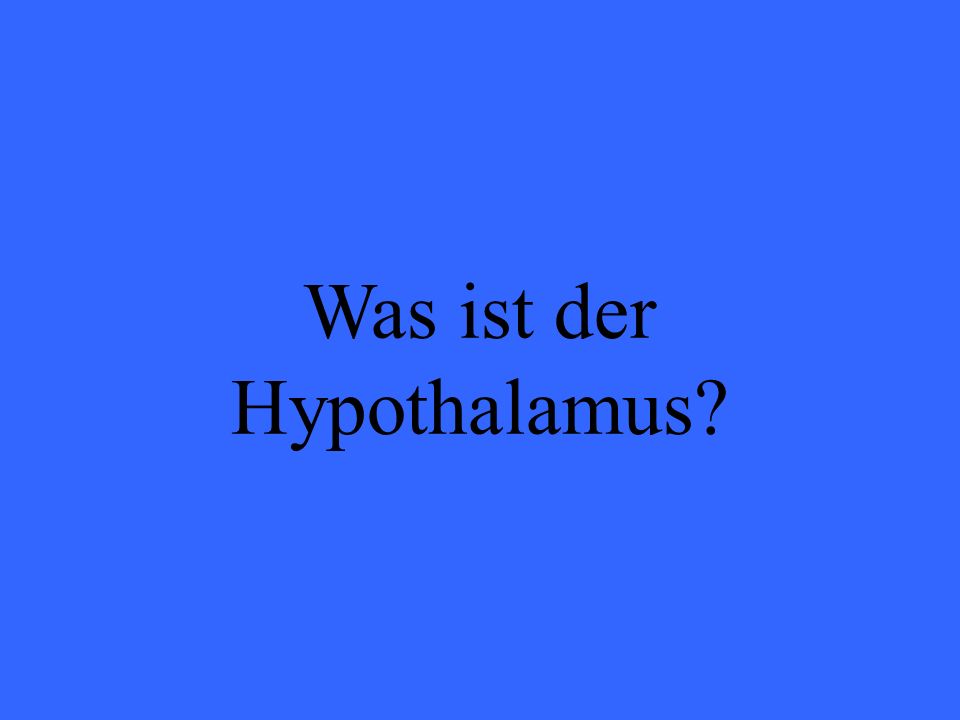 Was ist der Hypothalamus