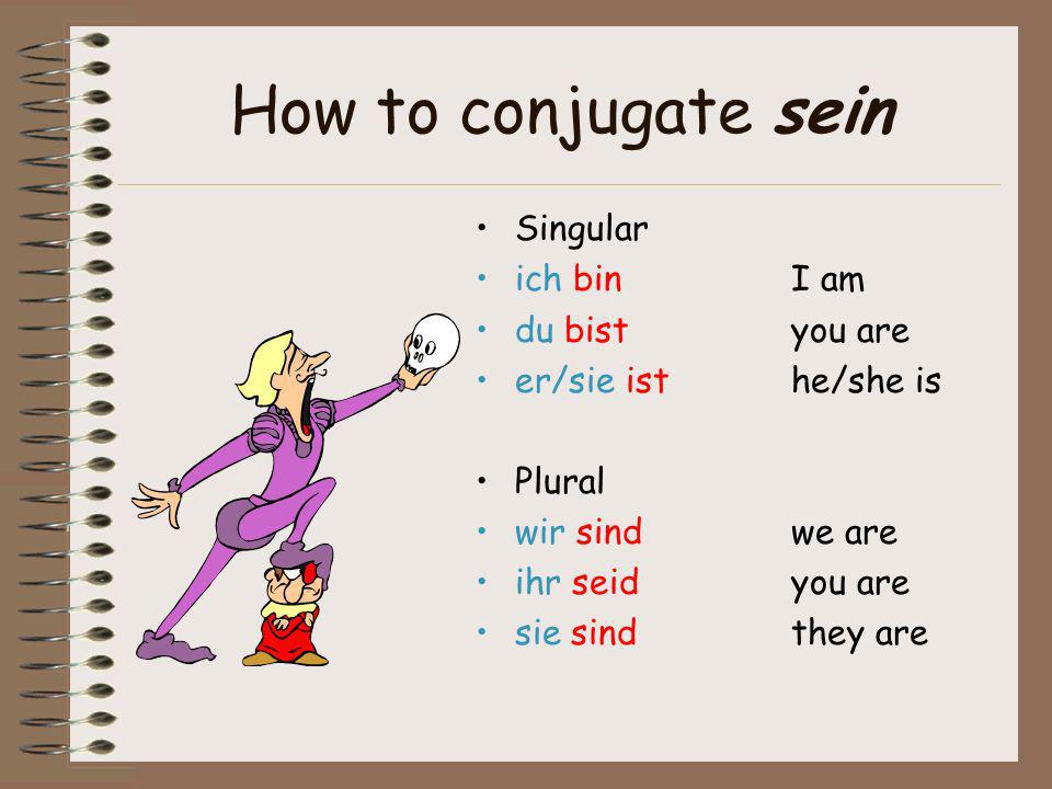 How to conjugate sein Singular ich bin I am du bist you are