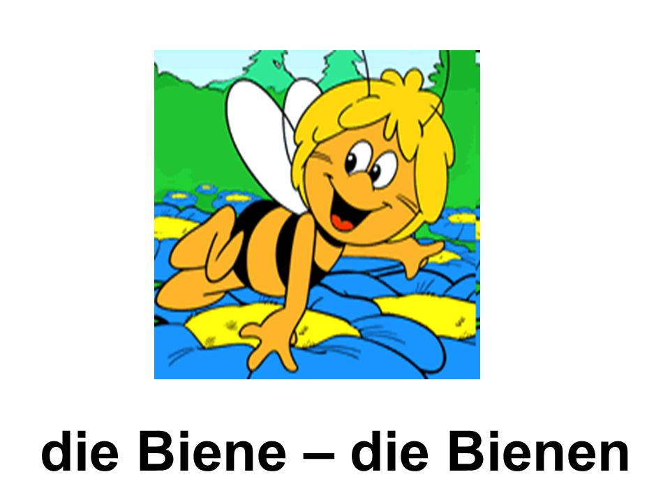 die Biene – die Bienen