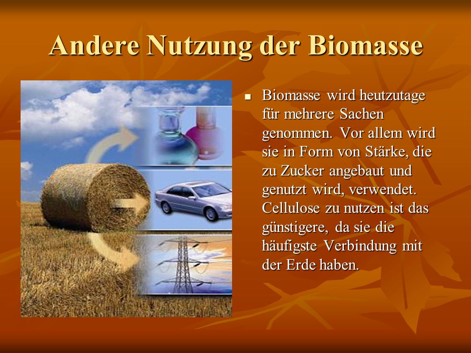 Andere Nutzung der Biomasse
