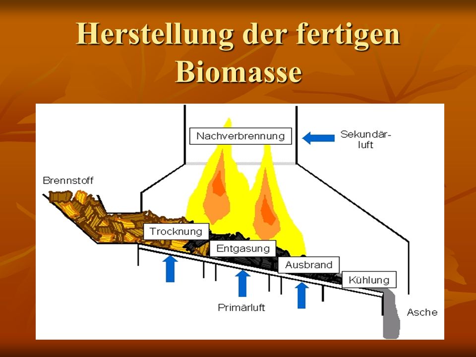 Herstellung der fertigen Biomasse