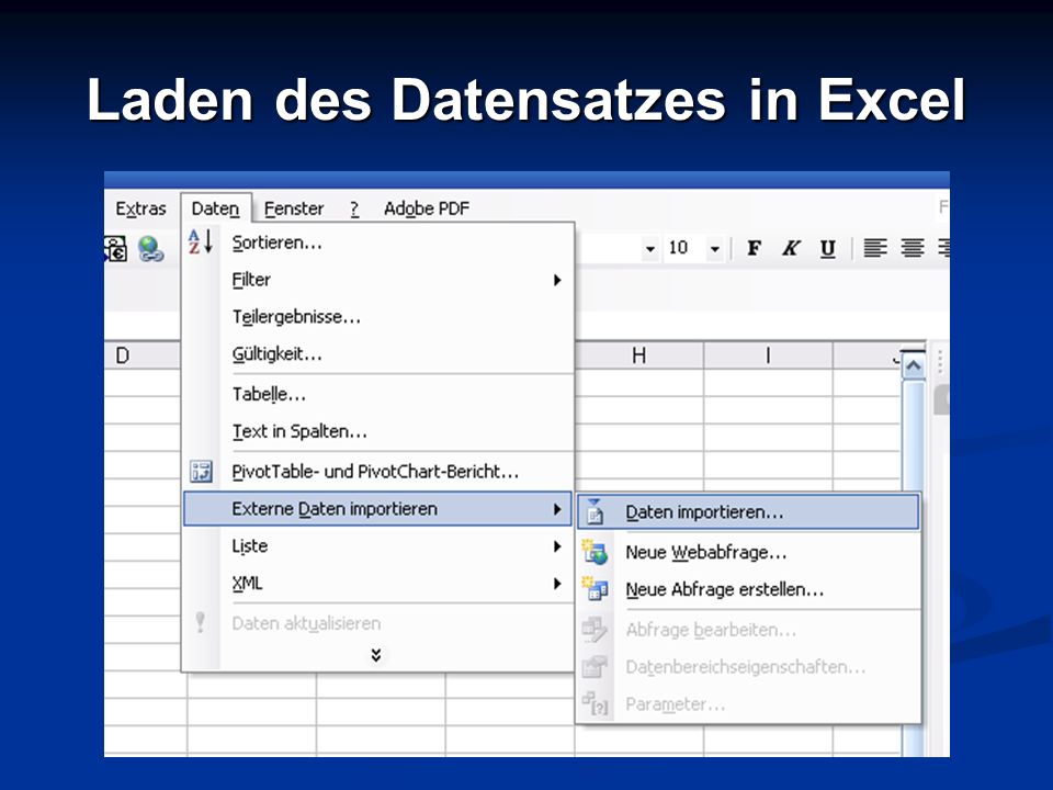 Laden des Datensatzes in Excel