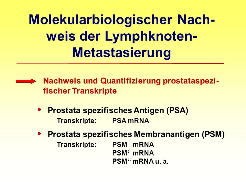 Molekularbiologischer Nach-weis der Lymphknoten-Metastasierung