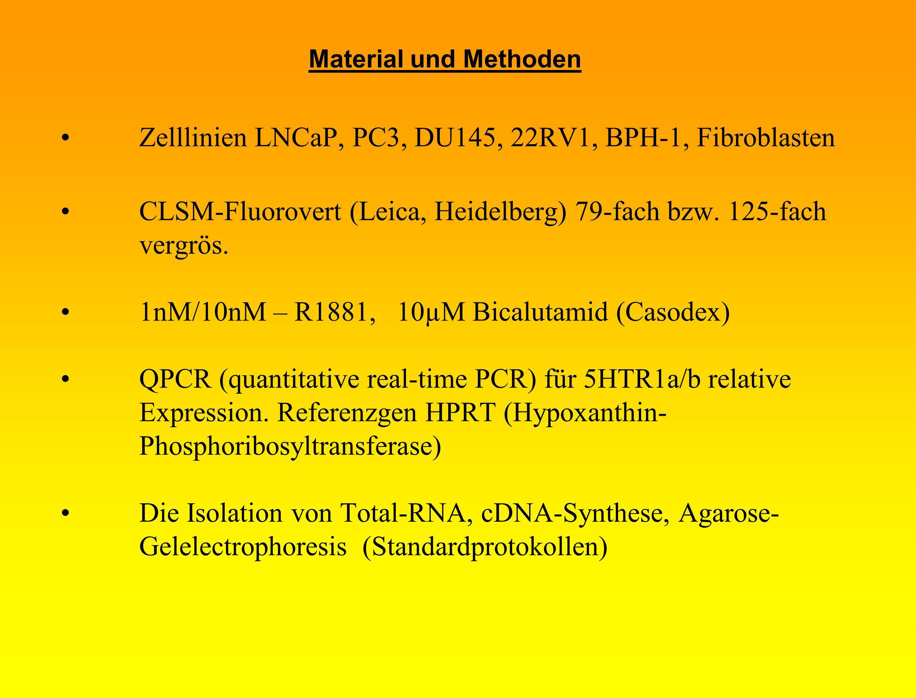 Zelllinien LNCaP, PC3, DU145, 22RV1, BPH-1, Fibroblasten