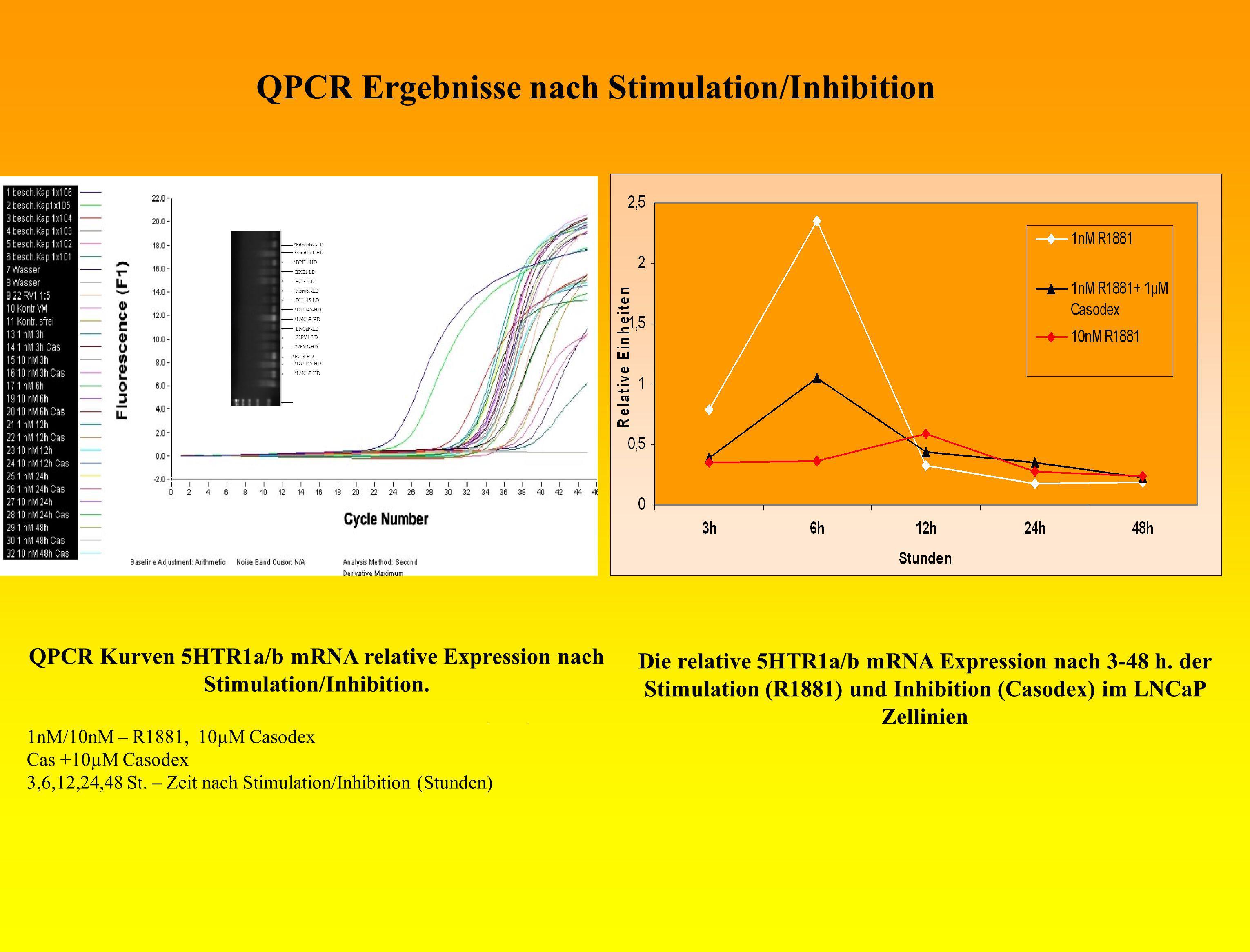 QPCR Ergebnisse nach Stimulation/Inhibition