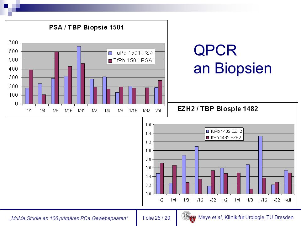 QPCR an Biopsien Folie 25 / 20