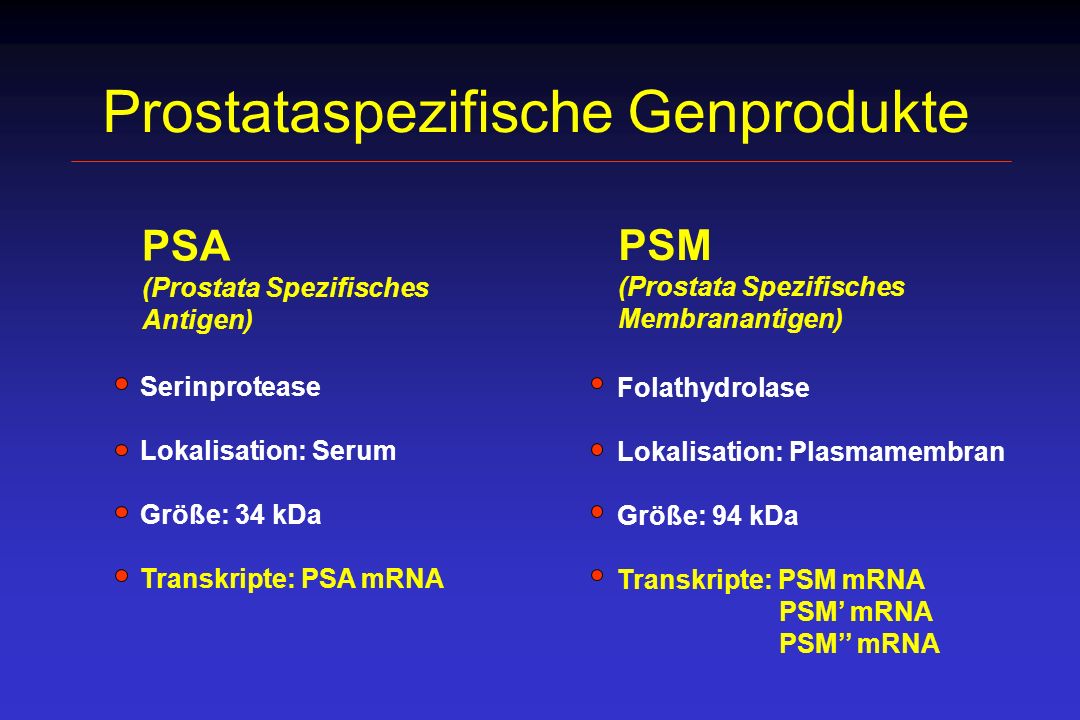 Prostataspezifische Genprodukte