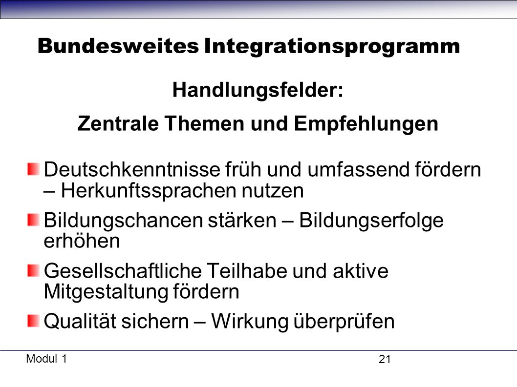 Bundesweites Integrationsprogramm