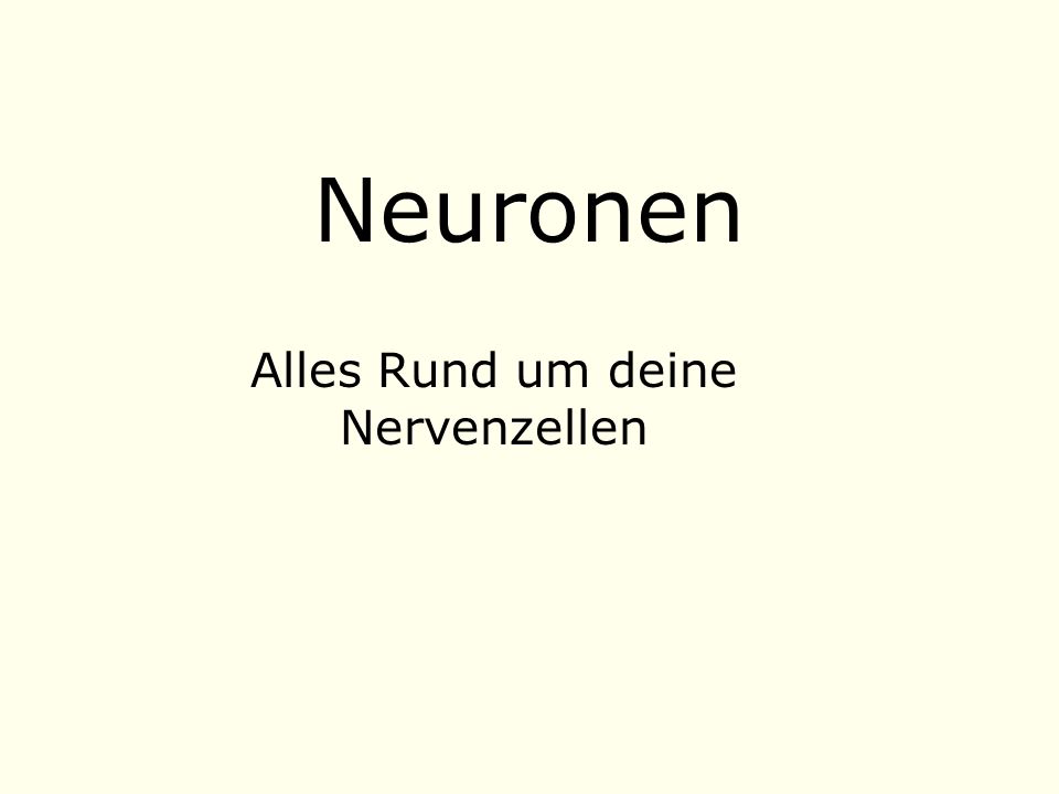Alles Rund um deine Nervenzellen