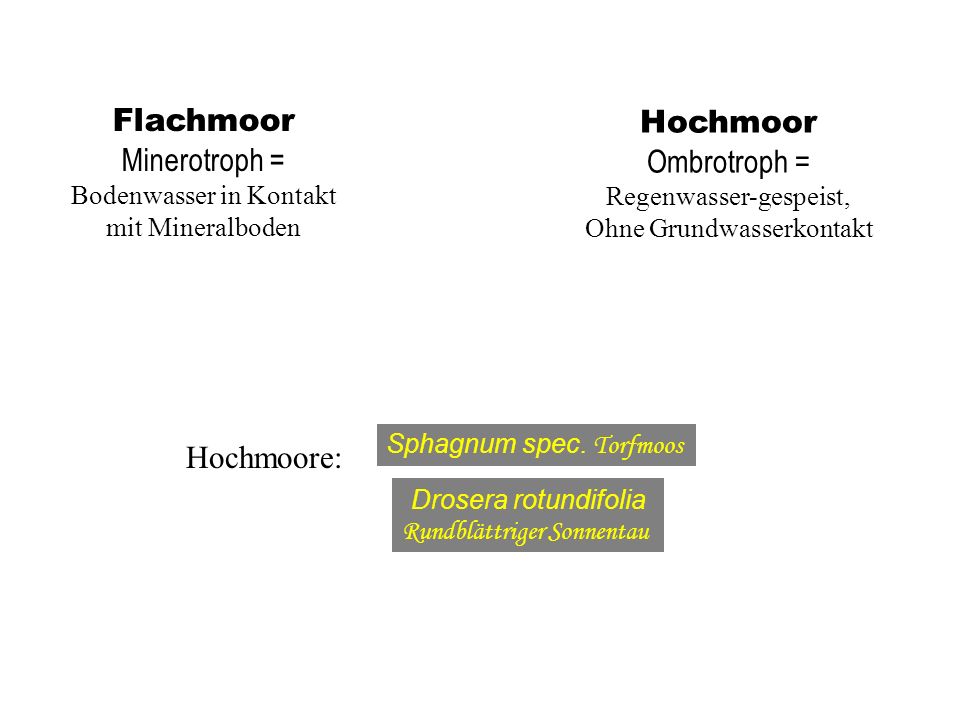 Flachmoor Hochmoor Minerotroph = Ombrotroph = Hochmoore: