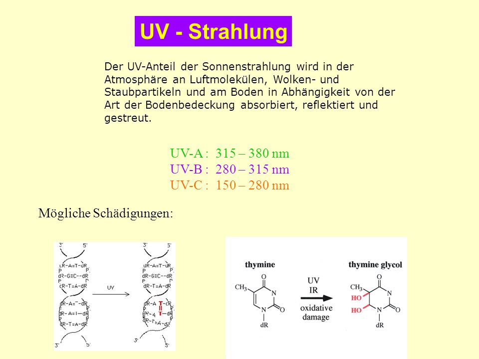 UV - Strahlung UV-A : 315 – 380 nm UV-B : 280 – 315 nm
