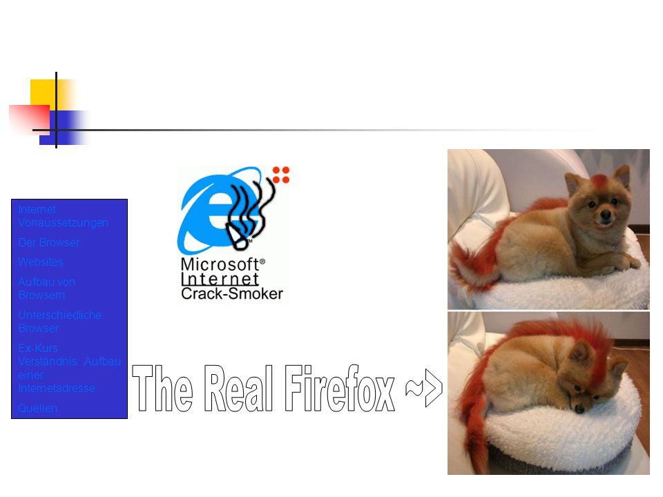 The Real Firefox ~> Internet Vorraussetzungen Der Browser Websites