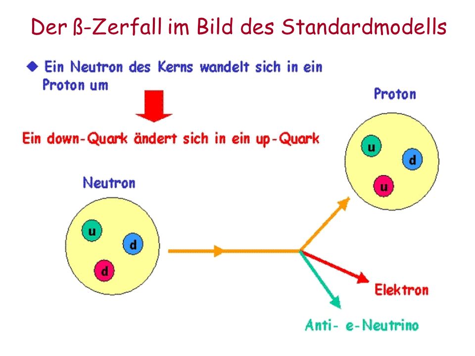 Der ß-Zerfall im Bild des Standardmodells