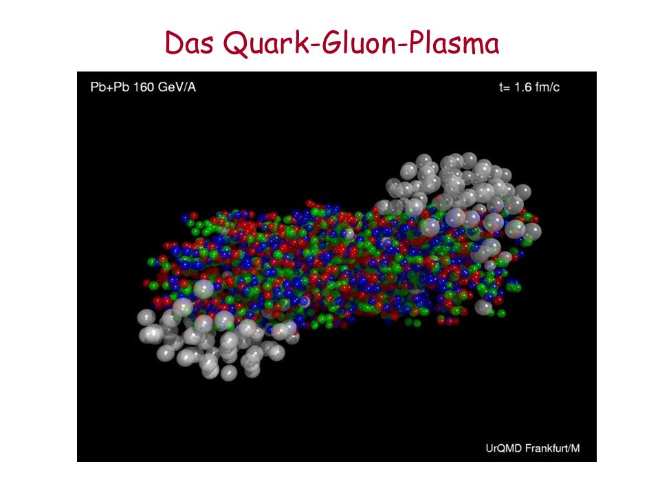 Das Quark-Gluon-Plasma