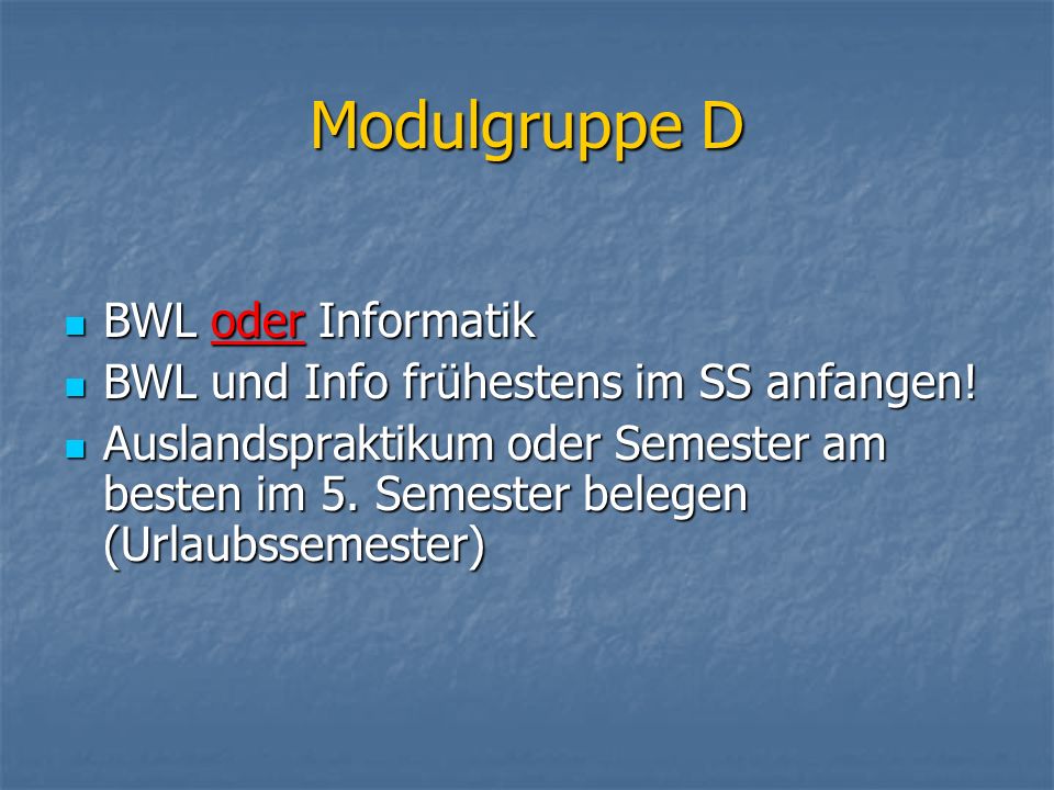Modulgruppe D BWL oder Informatik