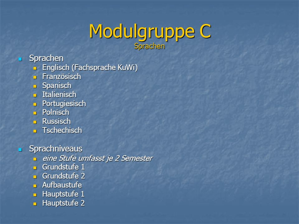 Modulgruppe C Sprachen