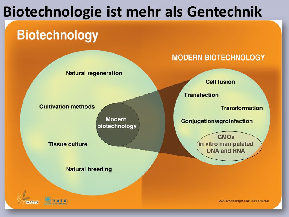 Biotechnologie ist mehr als Gentechnik