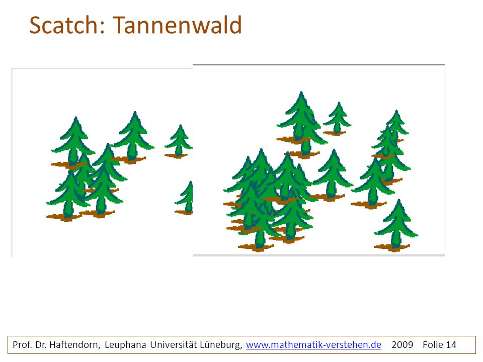 Scatch: Tannenwald tannenwald. Prof. Dr.
