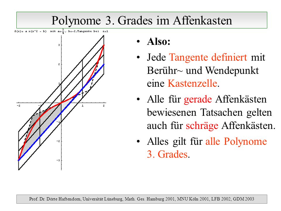 Polynome 3. Grades im Affenkasten
