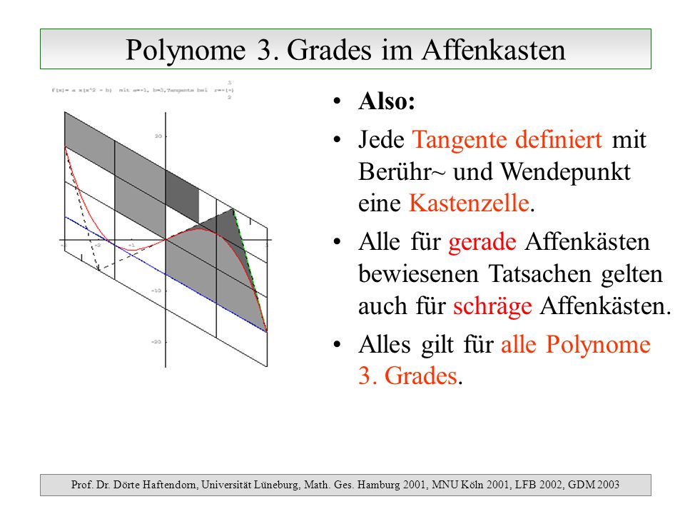 Polynome 3. Grades im Affenkasten