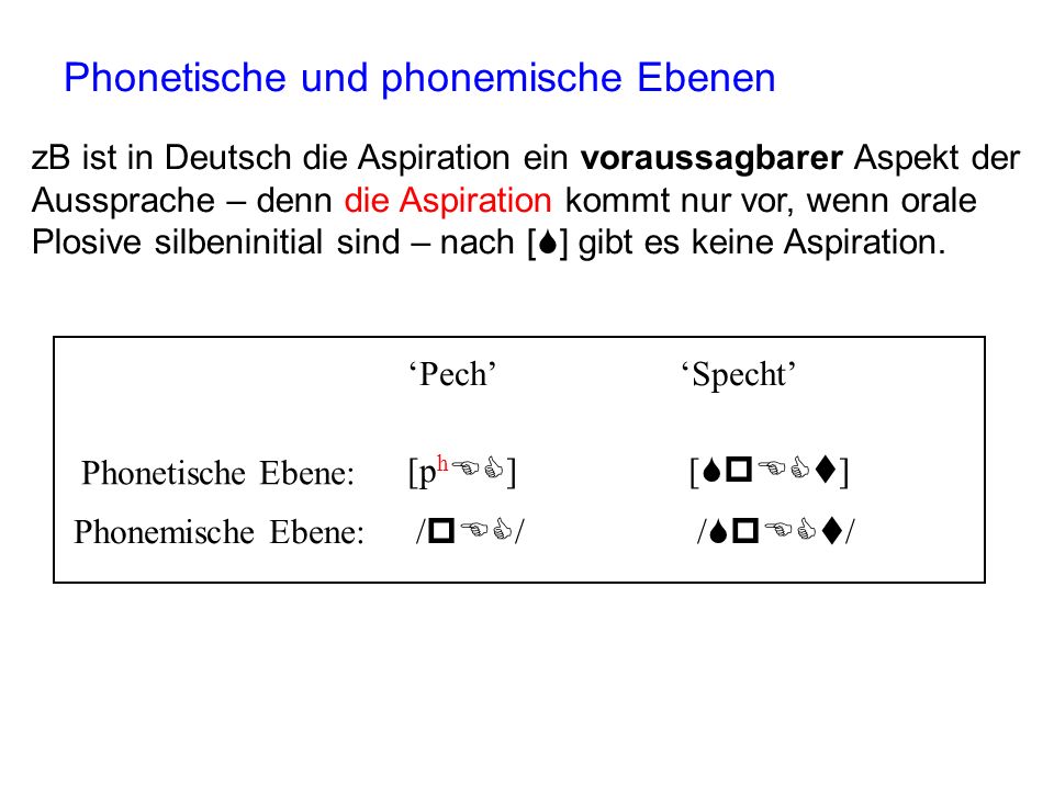 Phonetische und phonemische Ebenen