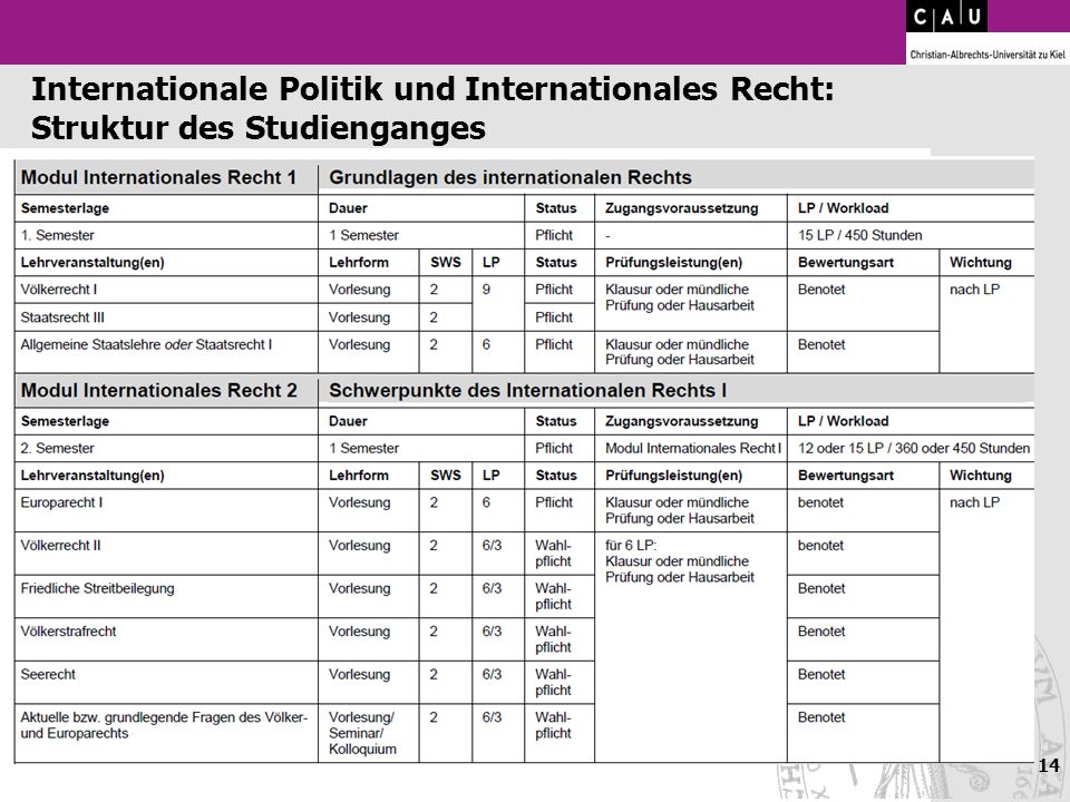 Internationale Politik und Internationales Recht: Struktur des Studienganges