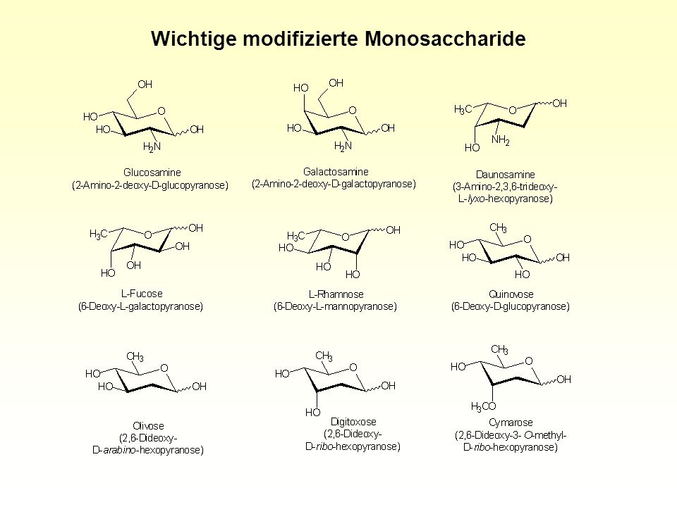 Wichtige modifizierte Monosaccharide
