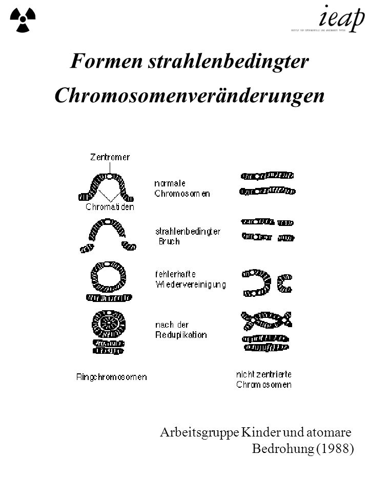 Formen strahlenbedingter Chromosomenveränderungen