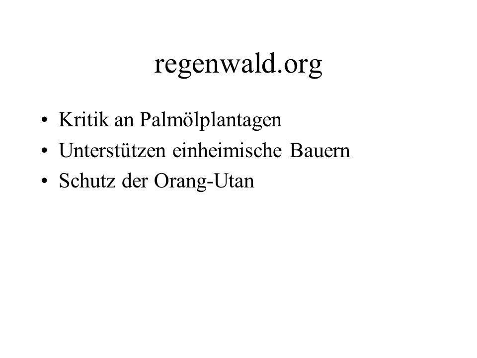 regenwald.org Kritik an Palmölplantagen