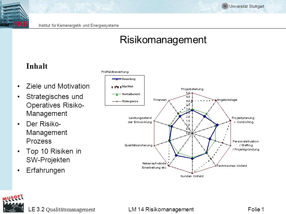 Risikomanagement Inhalt Ziele und Motivation