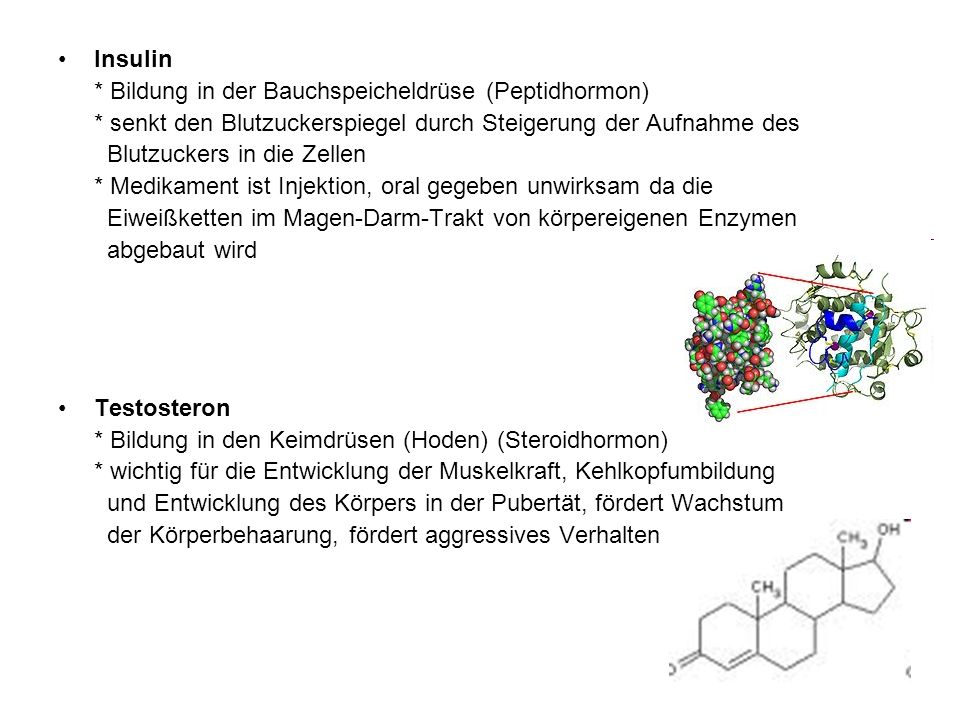 Insulin * Bildung in der Bauchspeicheldrüse (Peptidhormon) * senkt den Blutzuckerspiegel durch Steigerung der Aufnahme des.