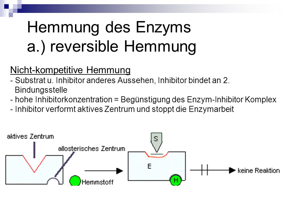Hemmung des Enzyms a.) reversible Hemmung
