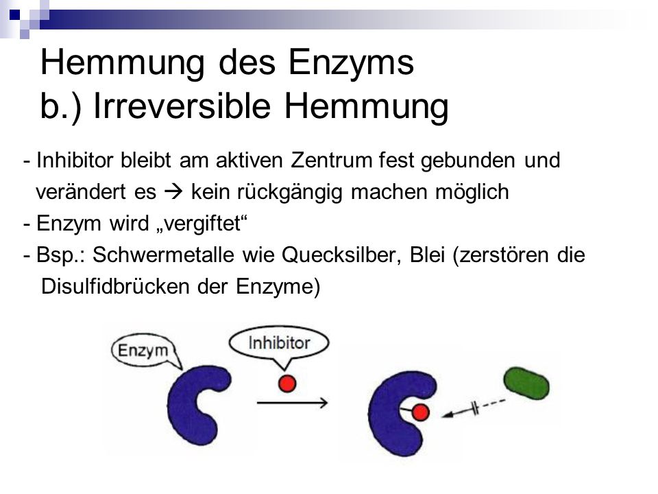 Hemmung des Enzyms b.) Irreversible Hemmung