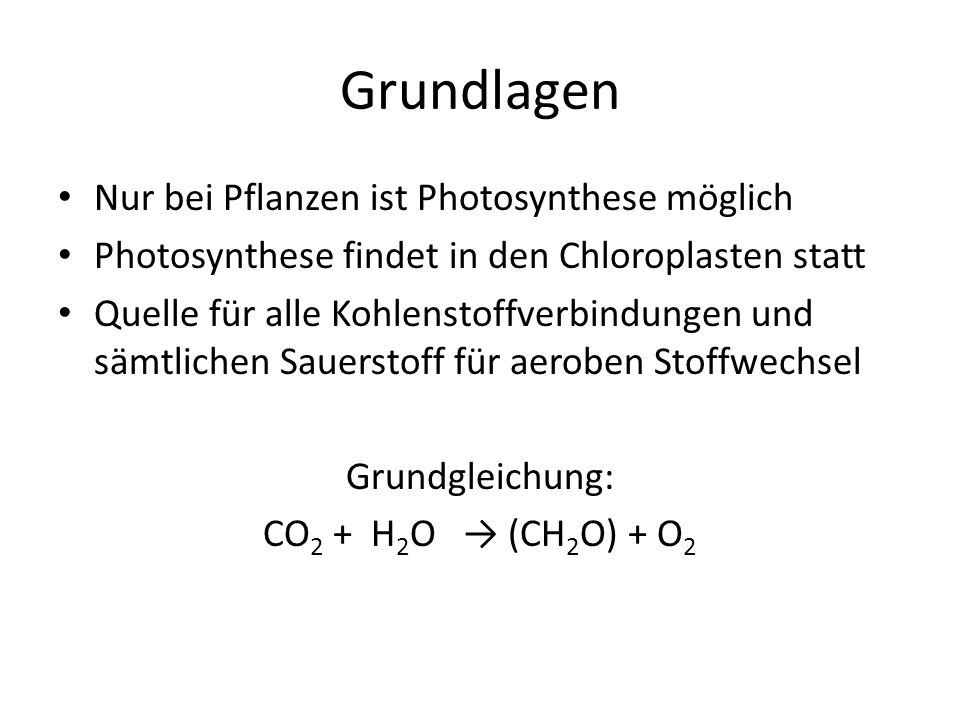 Grundlagen Nur bei Pflanzen ist Photosynthese möglich